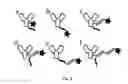 Fig. 03 - Super-resolution immunofluorescence with diffraction-limited preview