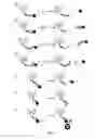 Fig. 04 - Super-resolution immunofluorescence with diffraction-limited preview