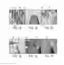 Fig. 02 - Rugged, single crystal wide-band-gap-material scanning-tunneling-microscopy/lithography tips