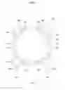 Fig. 06 - Lens moving apparatus