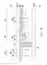 Fig. 03 - DISPLAY MOTHER PANEL AND DISPLAY PANEL