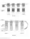 Fig. 39 - Multiprocessor system with independent direct access to bulk solid state memory resources