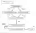 Fig. 01 - Graph model for alert interpretation in enterprise security system