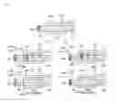 Fig. 02 - Semiconductor channel based neuromorphic synapse device including trap-rich layer