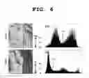 Fig. 07 - Apparatus and method for detecting oil spill by using satellite image