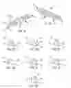 Fig. 02 - Adaptive writing utensil