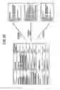 Fig. 29 - MEDICAL INFORMATION PROCESSING APPARATUS AND MEDICAL INFORMATION PROCESSING METHOD