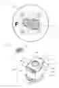 Fig. 06 - Charged particle beam device and sample holder