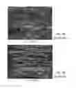 Fig. 03 - Apparatus and methods for processing exfoliated graphite materials