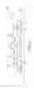Fig. 02 - Leadless semiconductor packages, leadframes therefor, and methods of making