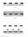 Fig. 05 - Substrate, method of preparing the same, and display device