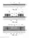 Fig. 22 - OPTOELECTRONIC INTEGRATED SEMICONDUCTOR MODULE AND METHOD FOR MANUFACTURING SAME