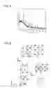 Fig. 04 - Cathode active material and fluoride ion battery