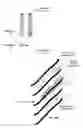 Fig. 06 - Lithium-ion battery anode including preloaded lithium