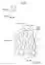Fig. 07 - Lithium-ion battery anode including preloaded lithium