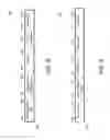 Fig. 07 - CONCURRENT MIMO BEAMFORMING TRAINING IN mmW WLAN SYSTEMS