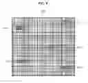 Fig. 10 - Apparatus and method for processing authentication information