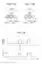 Fig. 71 - Vehicular circuit body