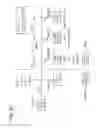 Fig. 80 - Vehicular circuit body