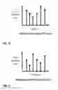 Fig. 19 - Virtual dispersive networking systems and methods