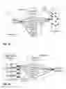 Fig. 20 - Virtual dispersive networking systems and methods