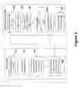 Fig. 03 - Detection of remote fraudulent activity in a client-server-system