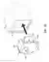 Fig. 07 - Image capturing device