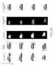 Fig. 06 - Generating novel views of a three-dimensional object based on a single two-dimensional image