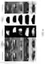 Fig. 09 - Generating novel views of a three-dimensional object based on a single two-dimensional image