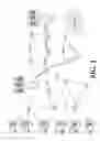 Fig. 02 - Method for in-network, dynamic radio access network functional split configuration by radio access network data plane forwarding nodes