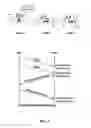 Fig. 02 - Ribs based synchronization service