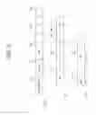 Fig. 08 - Method and device for transmitting frame in wireless LAN