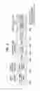 Fig. 04 - Method for transmitting and receiving signal through sidelink in next generation wireless communication system, and apparatus therefor