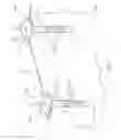 Fig. 02 - WEED GROWTH SUPPRESSION DEVICE