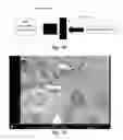Fig. 03 - Compositions and methods for enhanced COcapture and storage