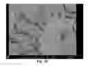 Fig. 04 - Compositions and methods for enhanced COcapture and storage