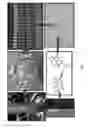 Fig. 02 - FORMULATIONS AND METHODS FOR ANTIFUNGAL ACTIVITY FROM PRUNUS MAACKII PERIDERM