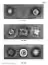Fig. 06 - FORMULATIONS AND METHODS FOR ANTIFUNGAL ACTIVITY FROM PRUNUS MAACKII PERIDERM