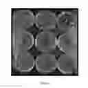 Fig. 16 - FORMULATIONS AND METHODS FOR ANTIFUNGAL ACTIVITY FROM PRUNUS MAACKII PERIDERM