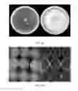 Fig. 22 - FORMULATIONS AND METHODS FOR ANTIFUNGAL ACTIVITY FROM PRUNUS MAACKII PERIDERM