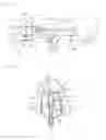 Fig. 09 - Method for removing guts of fish body and device for same