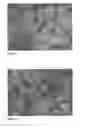 Fig. 02 - MANUFACTURE OF CHEESE