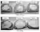 Fig. 01 - Physically stable liquefied blue cheese composition and process for making it