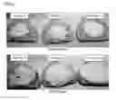 Fig. 02 - Physically stable liquefied blue cheese composition and process for making it