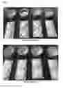 Fig. 03 - Physically stable liquefied blue cheese composition and process for making it