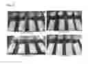 Fig. 04 - Physically stable liquefied blue cheese composition and process for making it