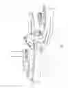Fig. 02 - Methods and apparatuses for freezing fish