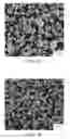 Fig. 06 - Crystal morphology for sodium reduction