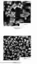Fig. 07 - Crystal morphology for sodium reduction