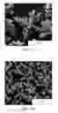 Fig. 08 - Crystal morphology for sodium reduction